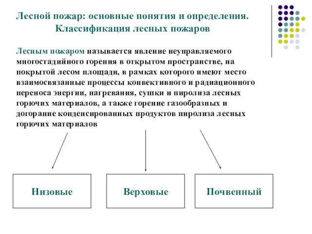 Лесной пожар: основные понятия и определения. Классификация лесных пожаров Лесным