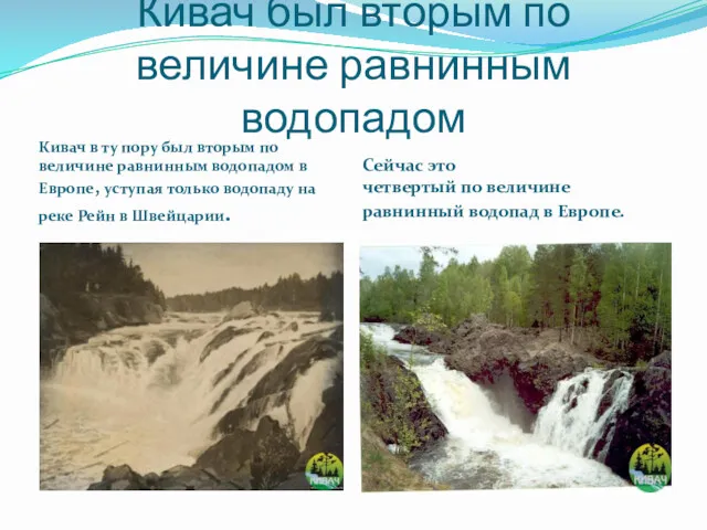 Кивач был вторым по величине равнинным водопадом Кивач в ту