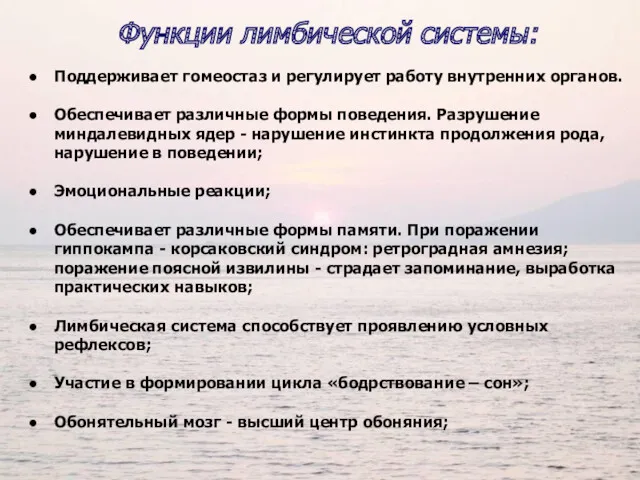 Поддерживает гомеостаз и регулирует работу внутренних органов. Обеспечивает различные формы