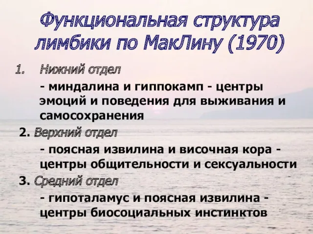 Функциональная структура лимбики по МакЛину (1970) Нижний отдел - миндалина