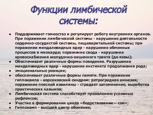 Поддерживает гомеостаз и регулирует работу внутренних органов. При поражении лимбической