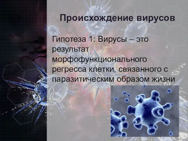 Происхождение вирусов Гипотеза 1: Вирусы – это результат морфофункционального регресса клетки, связанного с паразитическим образом жизни