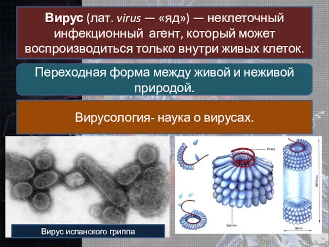 Вирус (лат. virus — «яд») — неклеточный инфекционный агент, который