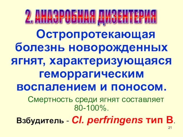 Остропротекающая болезнь новорожденных ягнят, характеризующаяся геморрагическим воспалением и поносом. Смертность