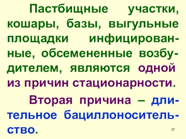 Пастбищные участки, кошары, базы, выгульные площадки инфицирован-ные, обсемененные возбу-дителем, являются