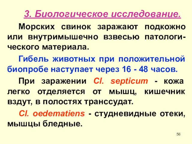 3. Биологическое исследование. Морских свинок заражают подкожно или внутримышечно взвесью