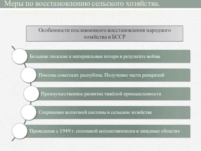 Меры по восстановлению сельского хозяйства. Коллективизация в западных областях Беларуси