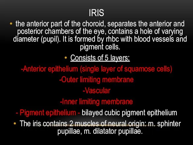 IRIS the anterior part of the choroid, separates the anterior