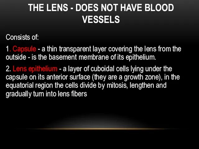 THE LENS - DOES NOT HAVE BLOOD VESSELS Consists of: