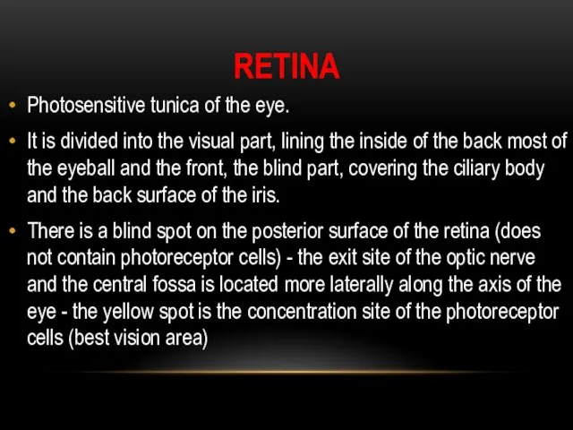 RETINA Photosensitive tunica of the eye. It is divided into