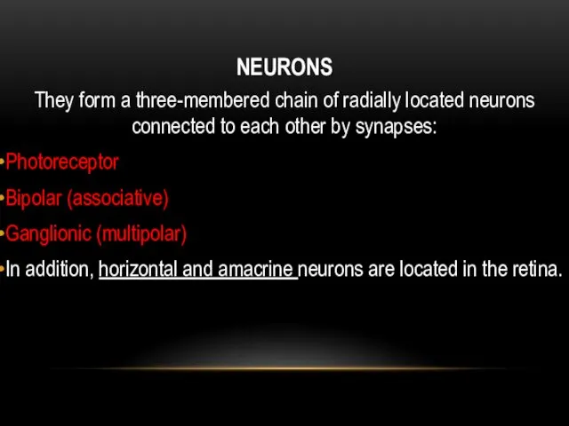 NEURONS They form a three-membered chain of radially located neurons