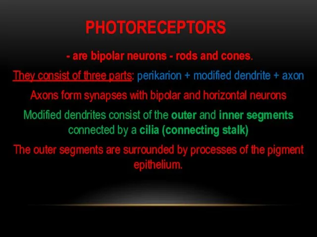 PHOTORECEPTORS - are bipolar neurons - rods and cones. They