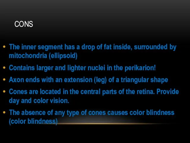 CONS The inner segment has a drop of fat inside,