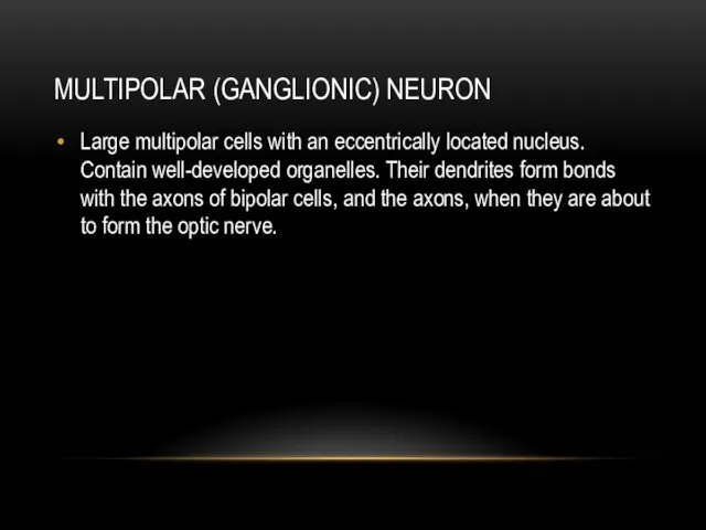 MULTIPOLAR (GANGLIONIC) NEURON Large multipolar cells with an eccentrically located