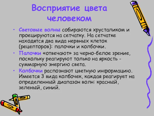 Восприятие цвета человеком Световые волны собираются хрусталиком и проецируются на