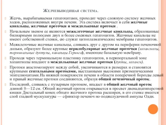 Желчевыводяшая система. Желчь, вырабатываемая гепатоцитами, проходит через сложную систему желчных