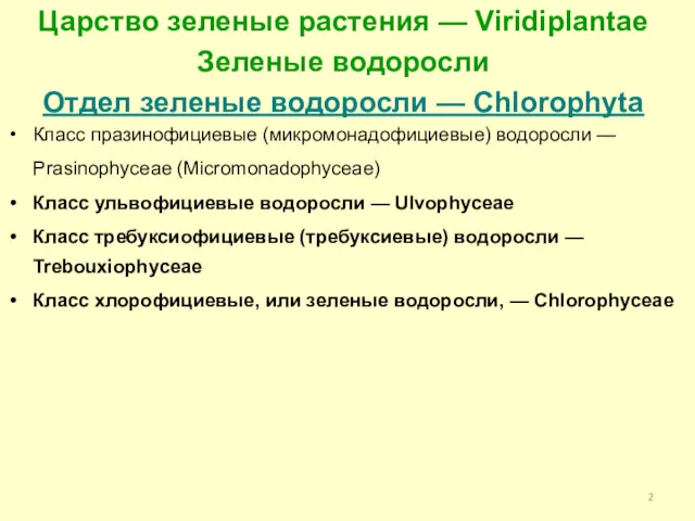 Царство зеленые растения — Viridiplantae Зеленые водоросли Отдел зеленые водоросли — Chlorophyta Класс