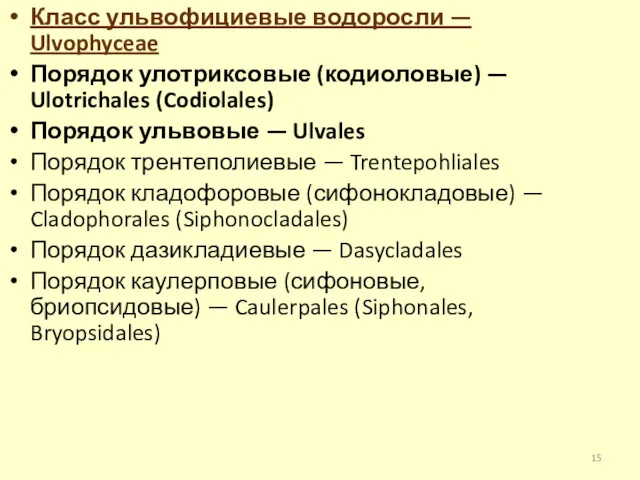 Класс ульвофициевые водоросли — Ulvophyceae Порядок улотриксовые (кодиоловые) — Ulotrichales (Codiolales) Порядок ульвовые