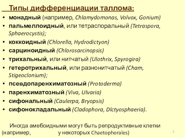 Типы дифференциации таллома: монадный (например, Chlamydomonas, Volvox, Gonium) пальмеллоидный, или тетраспоральный (Tetraspora, Sphaerocystis);