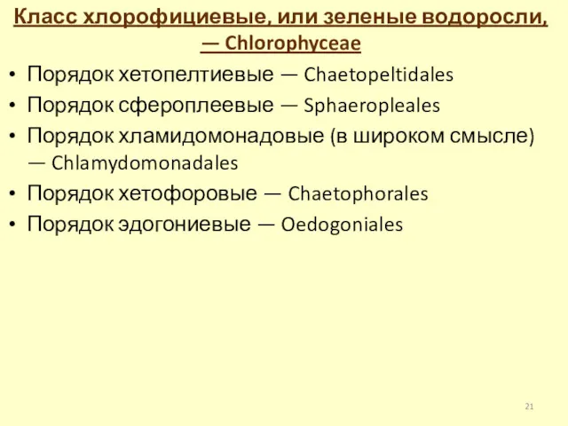 Класс хлорофициевые, или зеленые водоросли, — Chlorophyceae Порядок хетопелтиевые — Chaetopeltidales Порядок сфероплеевые