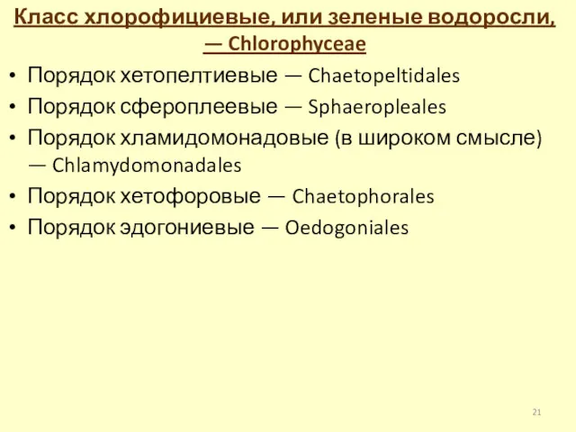 Класс хлорофициевые, или зеленые водоросли, — Chlorophyceae Порядок хетопелтиевые —