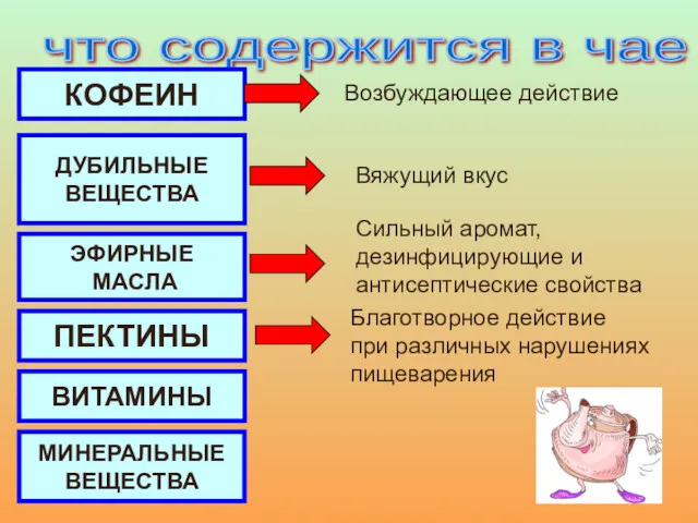 что содержится в чае ? КОФЕИН ДУБИЛЬНЫЕ ВЕЩЕСТВА ЭФИРНЫЕ МАСЛА