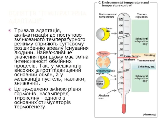 ПОНЯТТЯ "ТЕМПЕРАТУРНА АДАПТАЦІЯ" Тривала адаптація, акліматизація до поступово змінюваного температурного