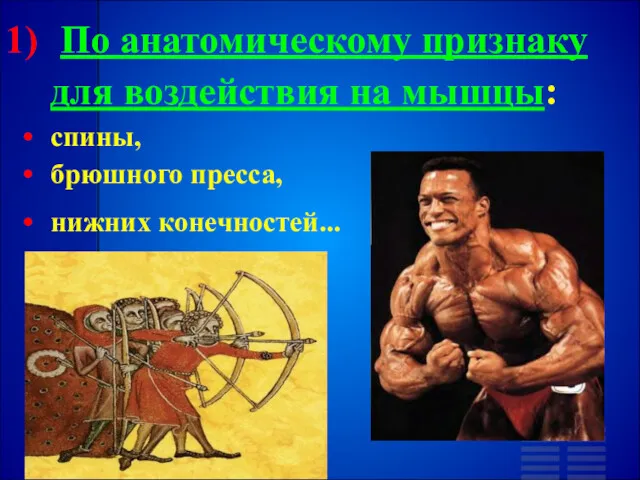 По анатомическому признаку для воздействия на мышцы: спины, брюшного пресса, нижних конечностей...