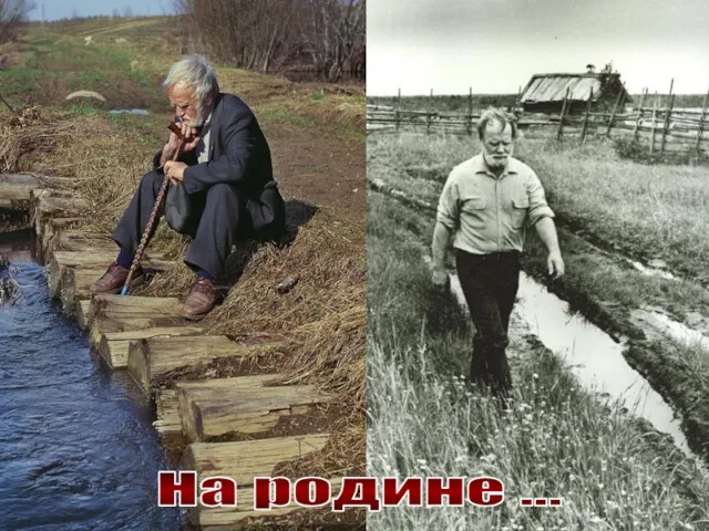 На родине …