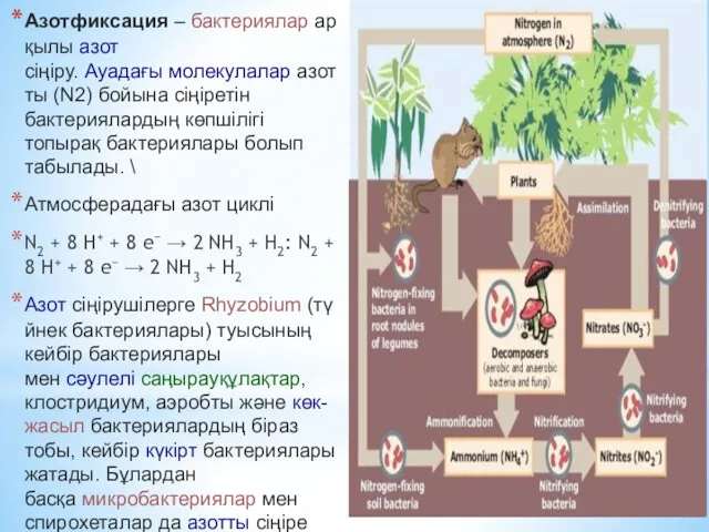 Азотфиксация – бактериялар арқылы азот сіңіру. Ауадағы молекулалар азотты (N2)