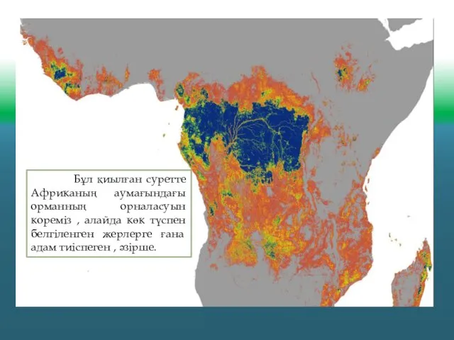 Бұл қиылған суретте Африканың аумағындағы орманның орналасуын кореміз , алайда