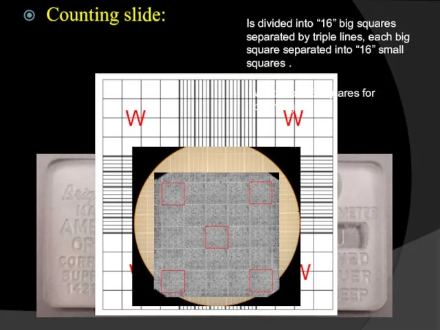 Counting slide: Is divided into “16” big squares separated by triple lines, each