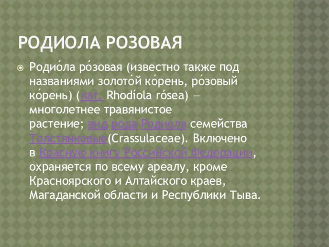 РОДИОЛА РОЗОВАЯ Родио́ла ро́зовая (известно также под названиями золото́й ко́рень,