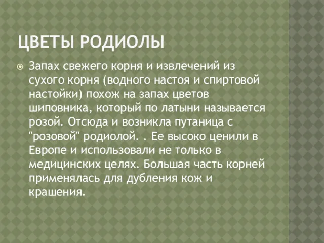 ЦВЕТЫ РОДИОЛЫ Запах свежего корня и извлечений из сухого корня