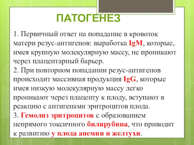 1. Первичный ответ на попадание в кровоток матери резус-антигенов: выработка