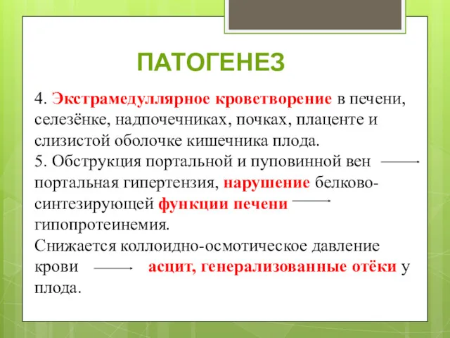 4. Экстрамедуллярное кроветворение в печени, селезёнке, надпочечниках, почках, плаценте и