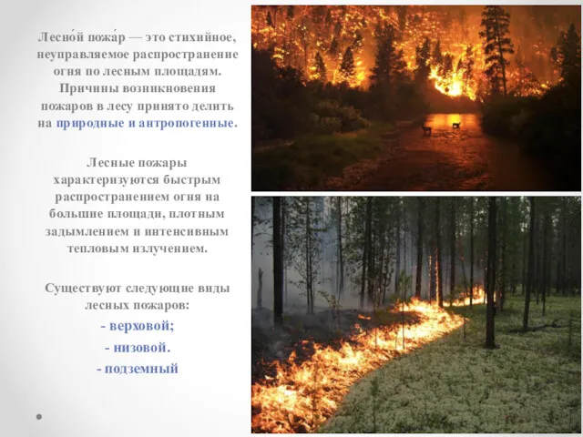 Лесно́й пожа́р — это стихийное, неуправляемое распространение огня по лесным