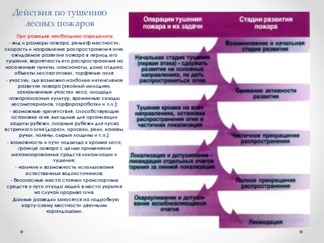 Действия по тушению лесных пожаров При разведке необходимо определить: -