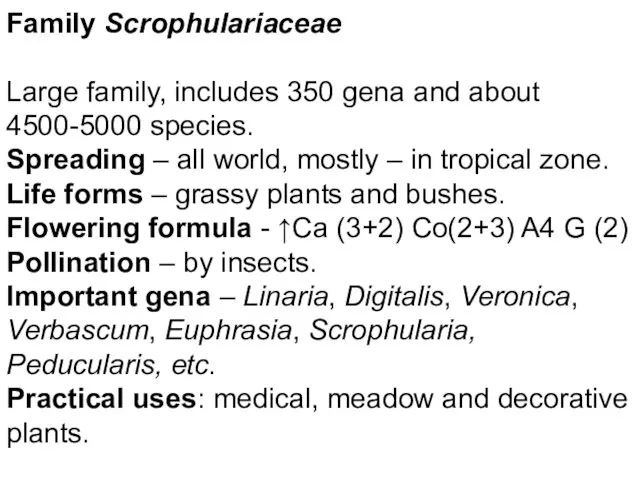 Family Scrophulariaceae Large family, includes 350 gena and about 4500-5000