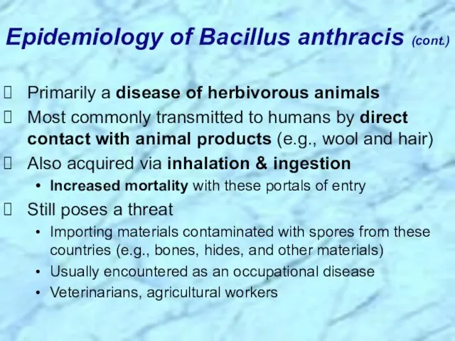 Epidemiology of Bacillus anthracis (cont.) Primarily a disease of herbivorous