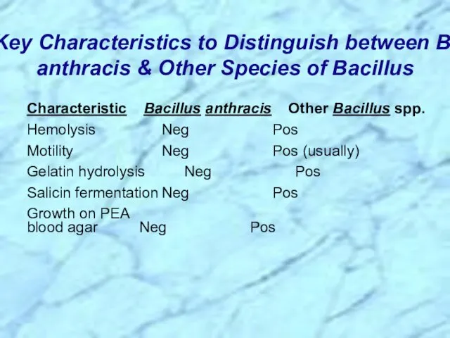 Characteristic Bacillus anthracis Other Bacillus spp. Hemolysis Neg Pos Motility