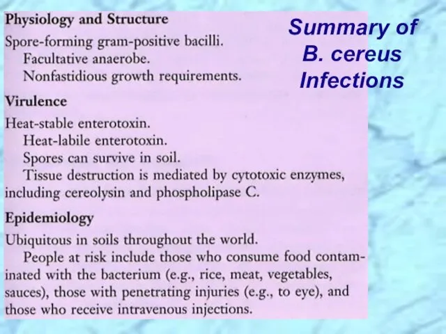 Summary of B. cereus Infections