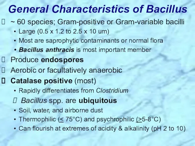 ~ 60 species; Gram-positive or Gram-variable bacilli Large (0.5 x