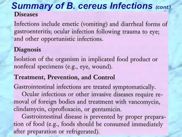 Summary of B. cereus Infections (cont.)