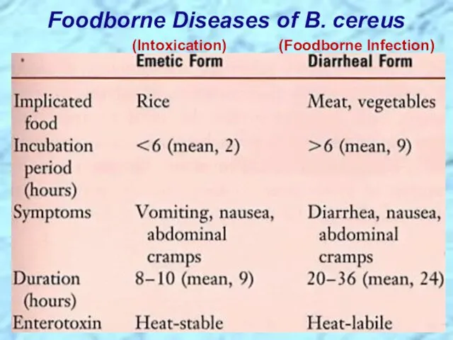 Foodborne Diseases of B. cereus (Intoxication) (Foodborne Infection)