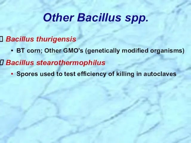 Bacillus thurigensis BT corn; Other GMO’s (genetically modified organisms) Bacillus