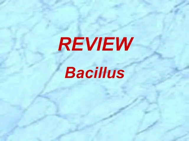 REVIEW Bacillus