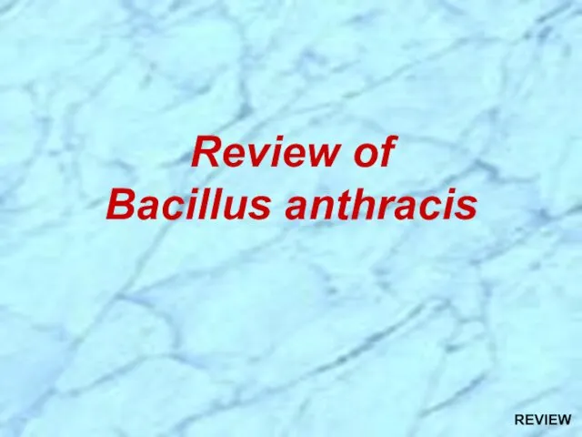 Review of Bacillus anthracis REVIEW