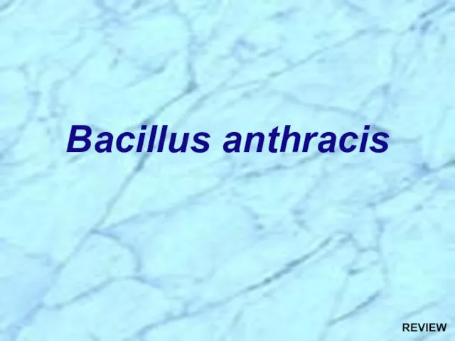 Bacillus anthracis REVIEW