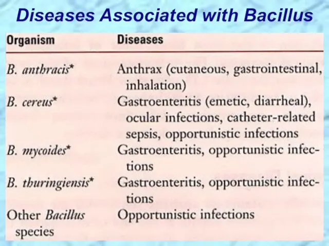 Diseases Associated with Bacillus